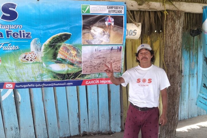 Baby Sea Turtle Releasing Sightseeing Tour with Luis de la Maza