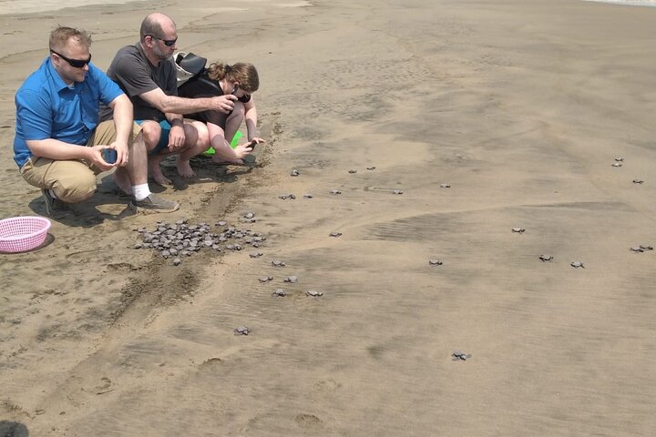 Baby Sea Turtle Releasing Sightseeing Tour with Luis de la Maza