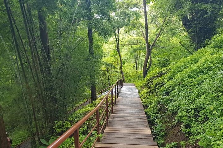 Visit Dantewada(Angel Land), Blue Temple, and Sticky Waterfall