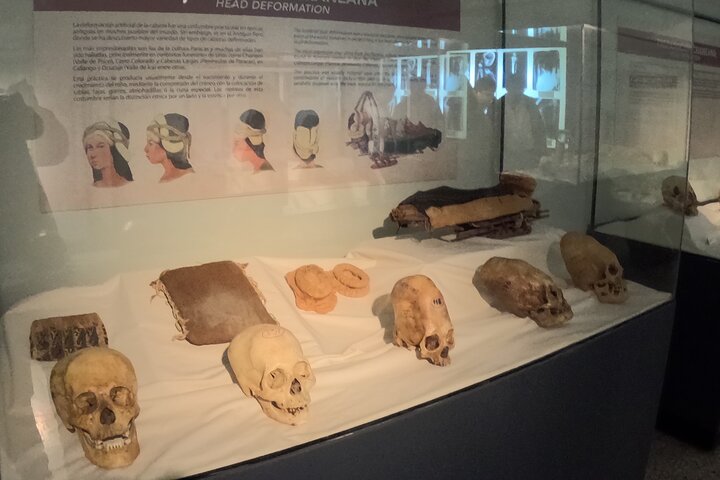 Guided Tour to the Museum of Ica, huacachina, buggy and sandboarding