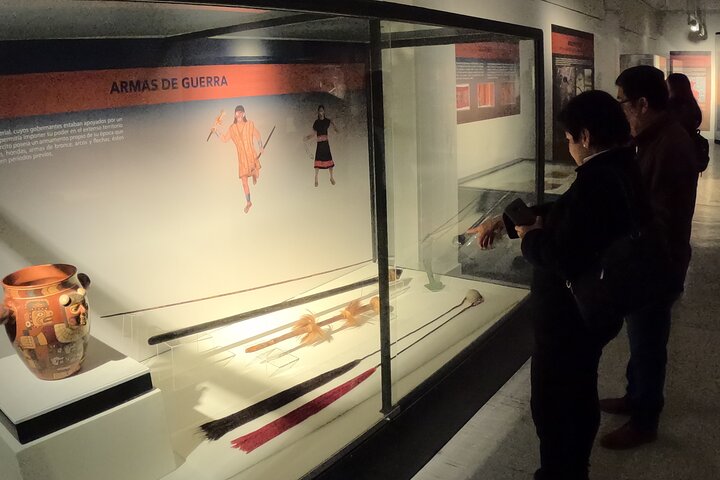 Guided Tour to the Museum of Ica, huacachina, buggy and sandboarding
