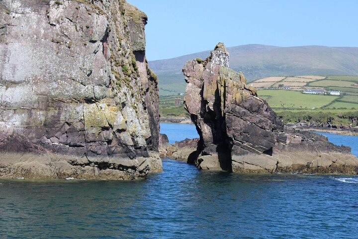 1 hour Dingle Bay Cliff Tour
