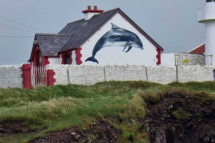 1 hour Dingle Bay Cliff Tour