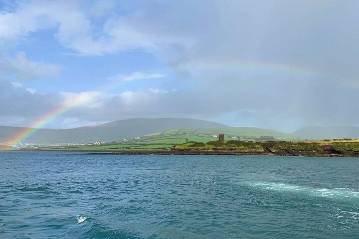 1 hour Dingle Bay Cliff Tour