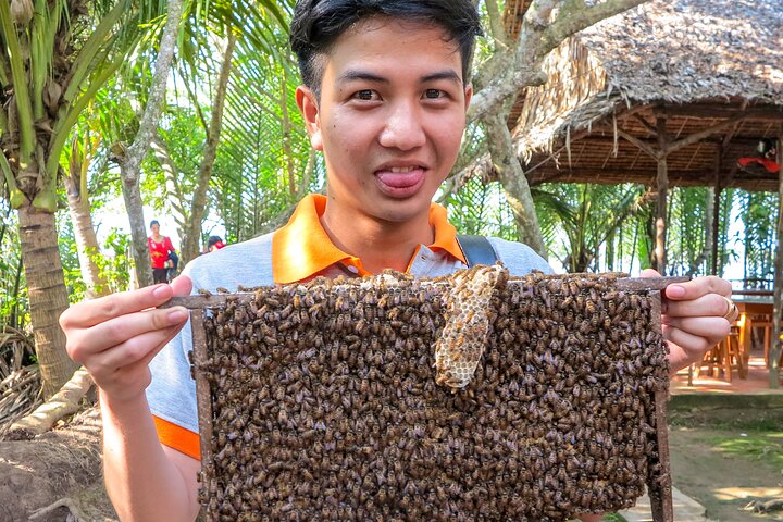 Small-Group Mekong Delta Day Trip: Boat Ride, Cottages & Pagoda