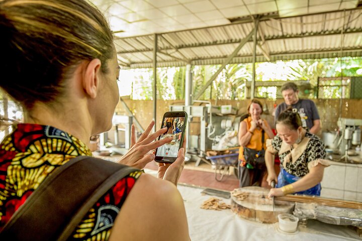 Small-Group Mekong Delta Day Trip: Boat Ride, Cottages & Pagoda