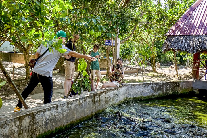Small-Group Mekong Delta Day Trip: Boat Ride, Cottages & Pagoda
