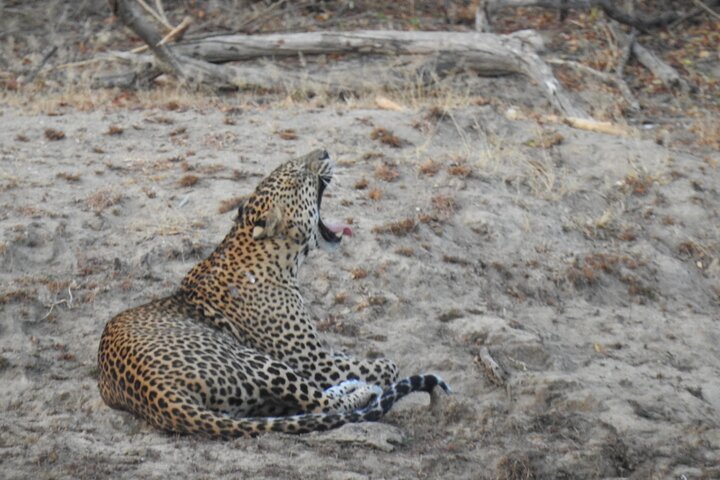 Evening Safari - Yala National Park with Janaka safari - 02.00 pm to 06.30 pm