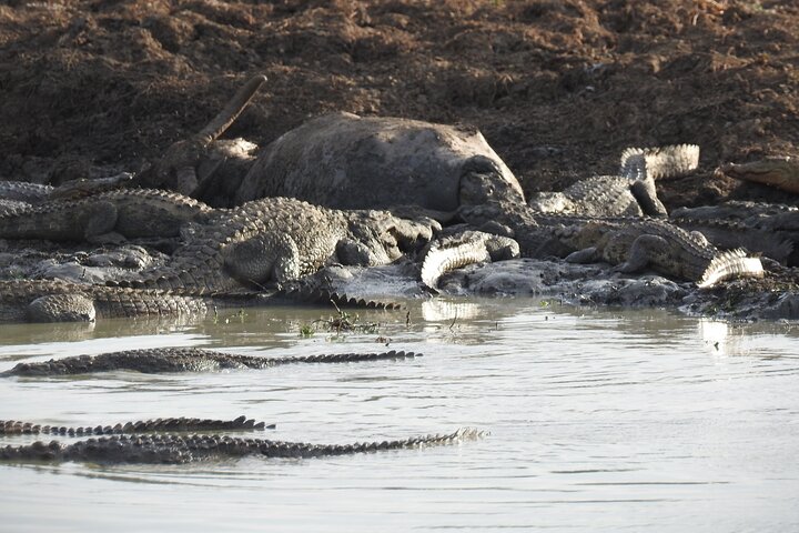 Evening Safari - Yala National Park with Janaka safari - 02.00 pm to 06.30 pm