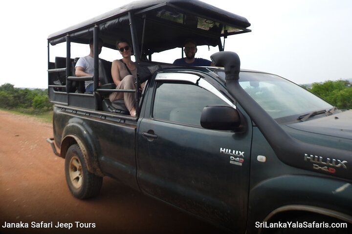 Evening Safari - Yala National Park with Janaka safari - 02.00 pm to 06.30 pm