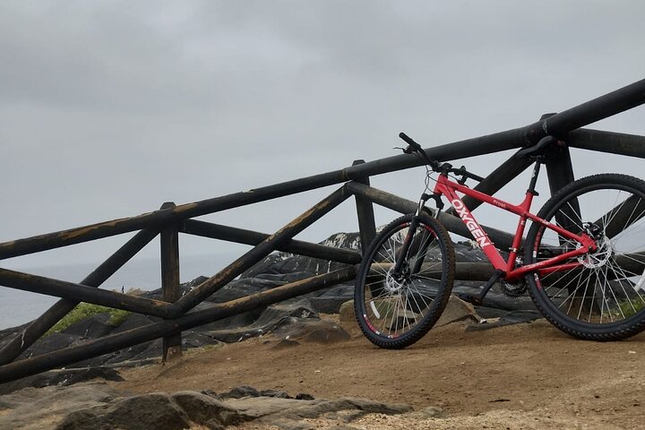 Bicycle ride along the coastal edge of Viña del Mar