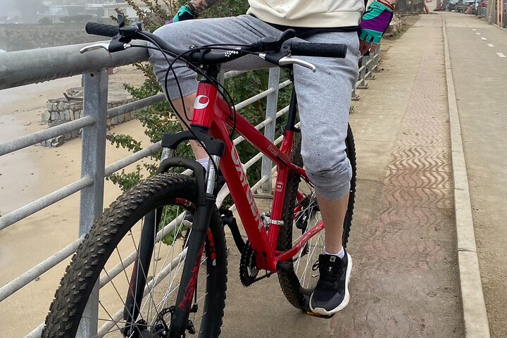 Bicycle ride along the coastal edge of Viña del Mar