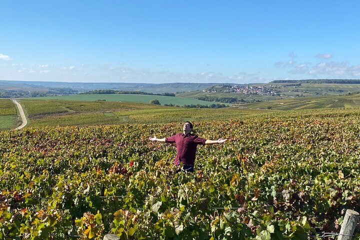 Exclusive Champagne Cellars & Dom Perignon Vineyards tour - Reims