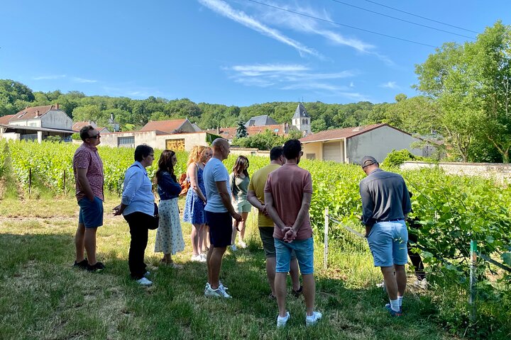 Exclusive Champagne Cellars & Dom Perignon Vineyards tour - Reims
