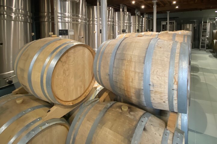 Exclusive Champagne Cellars & Dom Perignon Vineyards tour - Reims