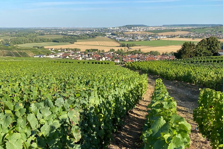 Exclusive Champagne Cellars & Dom Perignon Vineyards tour - Reims