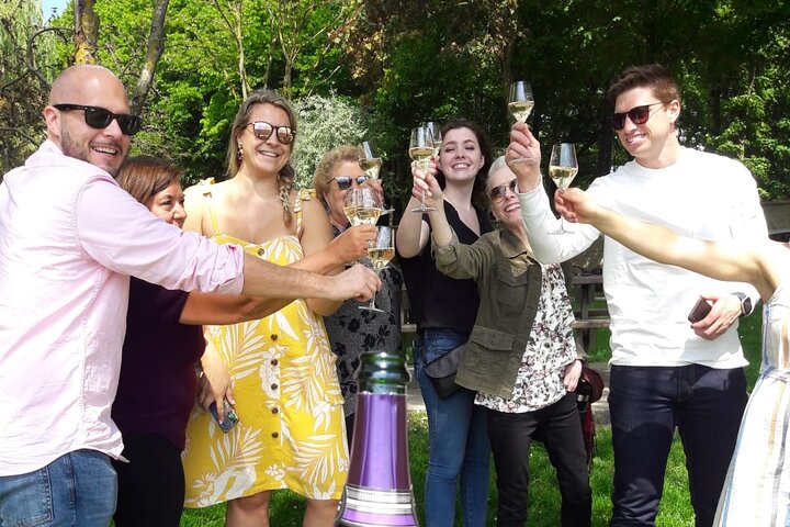 Exclusive Champagne Cellars & Dom Perignon Vineyards tour - Reims