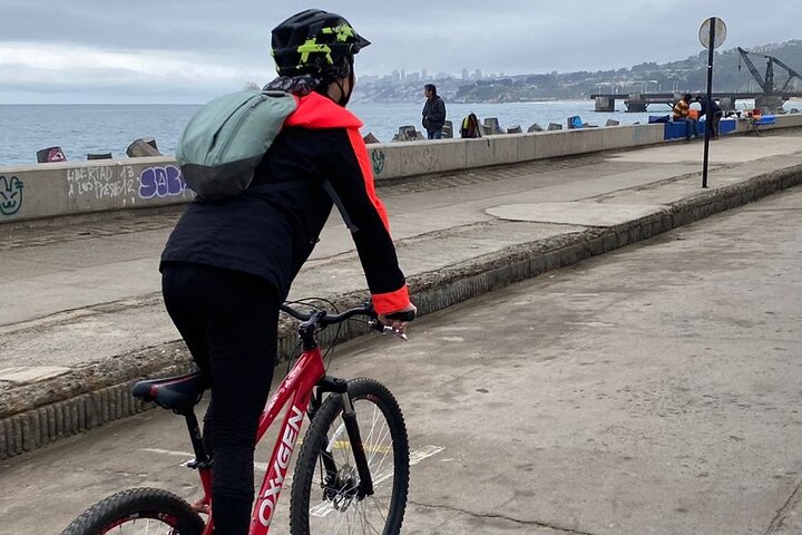Bicycle ride along the coastal edge of Viña del Mar