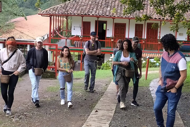 Salento and Cócora Tour plus Coffee Farm from Pereira or Armenia