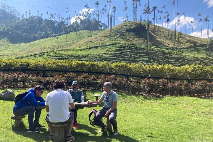 Salento and Cócora Tour plus Coffee Farm from Pereira or Armenia