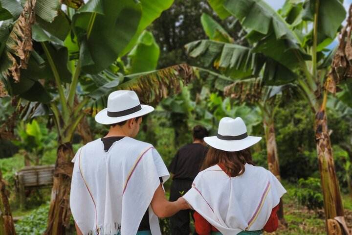 Salento and Cócora Tour plus Coffee Farm from Pereira or Armenia