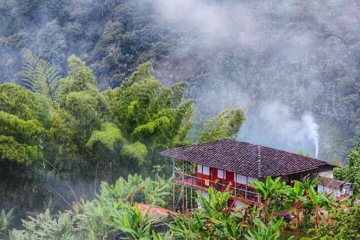 Salento and Cócora Tour plus Coffee Farm from Pereira or Armenia