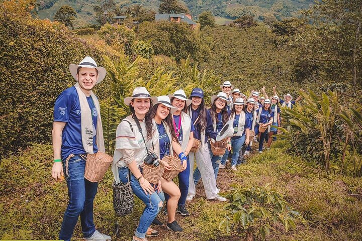 Salento and Cócora Tour plus Coffee Farm from Pereira or Armenia