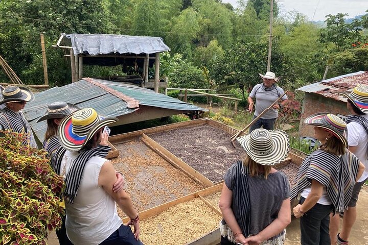 Salento and Cócora Tour plus Coffee Farm from Pereira or Armenia