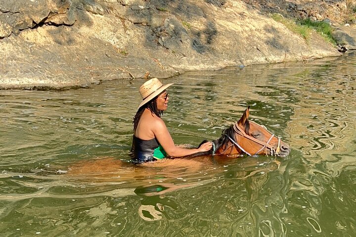 Horseback Riding: Tequila Tasting, BBQ & Margaritas