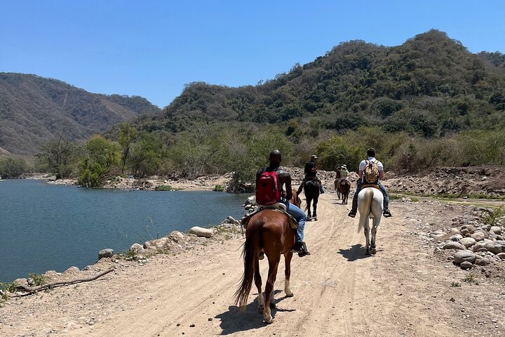Horseback Riding: Tequila Tasting, BBQ & Margaritas