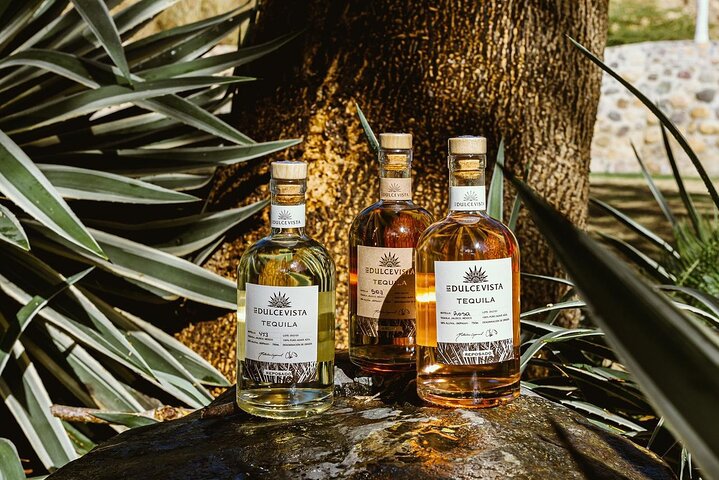 Horseback Riding: Tequila Tasting, BBQ & Margaritas