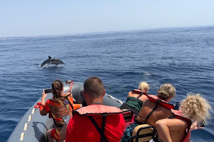 Dolphins & Benagil Caves 3h Small-group tour with Biologist