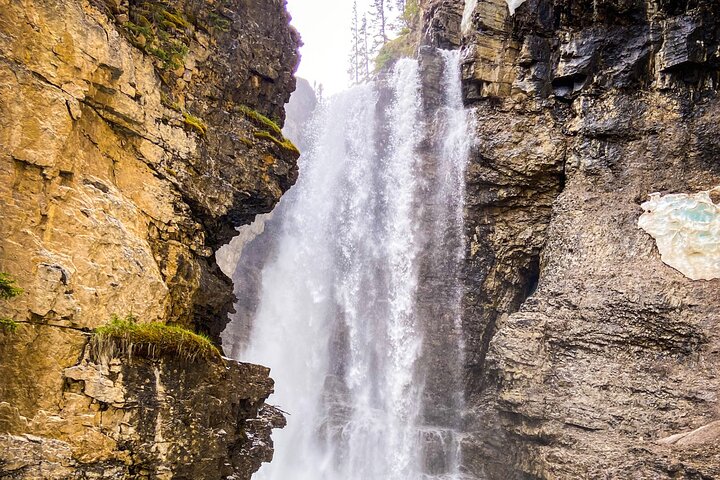 8 Iconic Stops. 12 Comfy Seats. See Banff's Best in First Class.