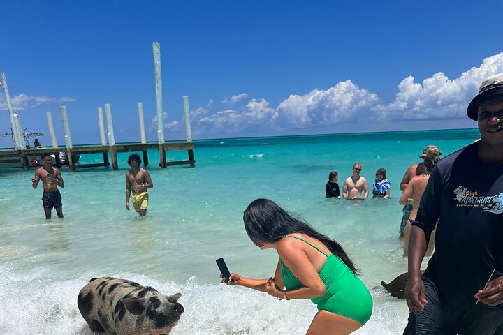 Private Nassau Rose Island Boat Tour Swimming Pigs, Turtles