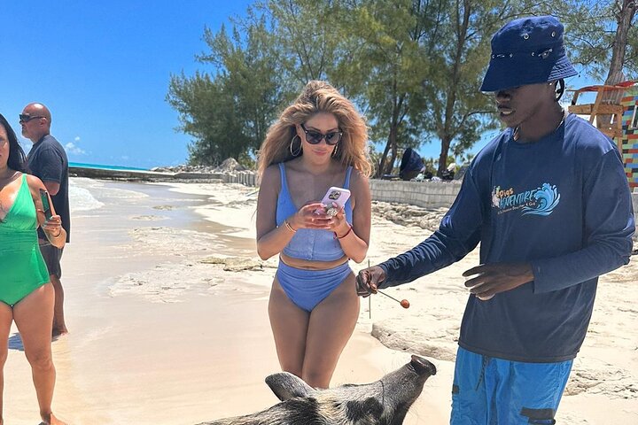 Private Nassau Rose Island Boat Tour Swimming Pigs, Turtles