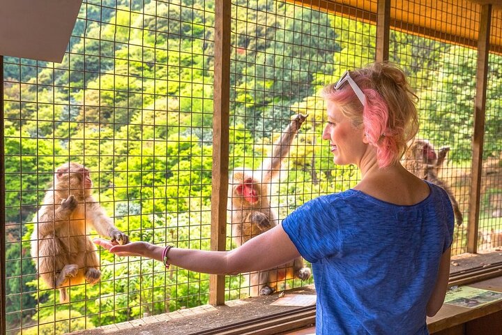 1-Day Private Snow Monkey ZenkoJi Temple & SakeTasting NaganoTour