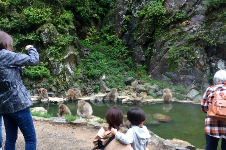 1-Day Private Snow Monkey ZenkoJi Temple & SakeTasting NaganoTour