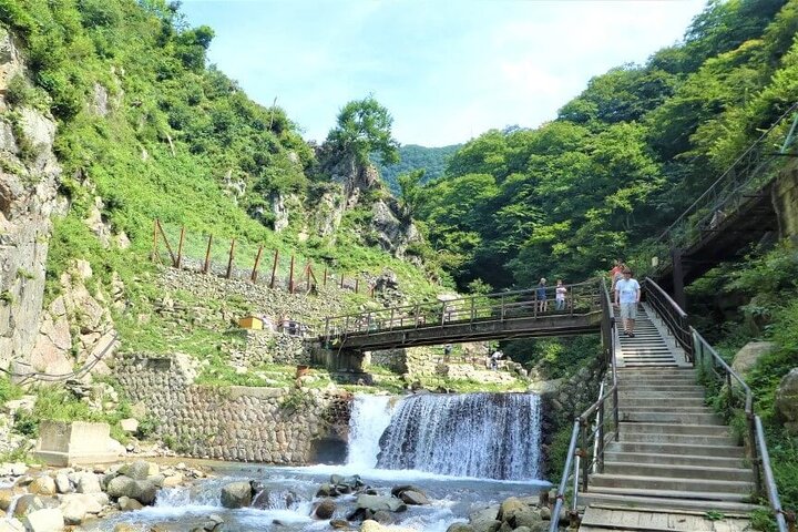 1-Day Private Snow Monkey ZenkoJi Temple & SakeTasting NaganoTour