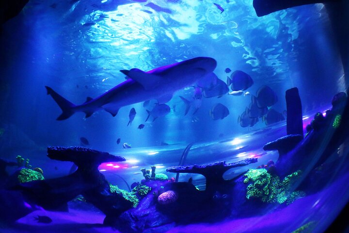 SEA LIFE Konstanz Admission Ticket