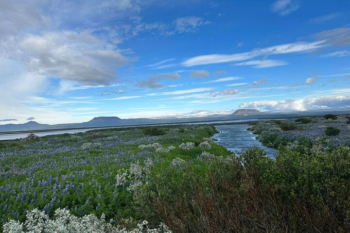 1 hrs ATV quad trip down with glacier river Northeast of Iceland