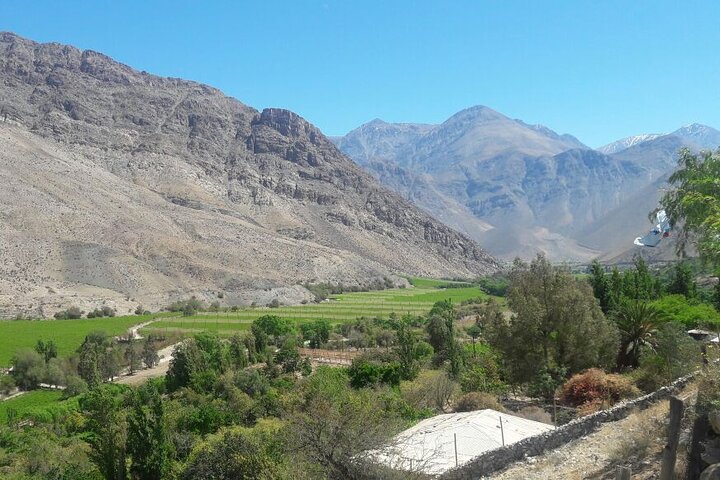 Elqui Valley Tour: History and Flavors