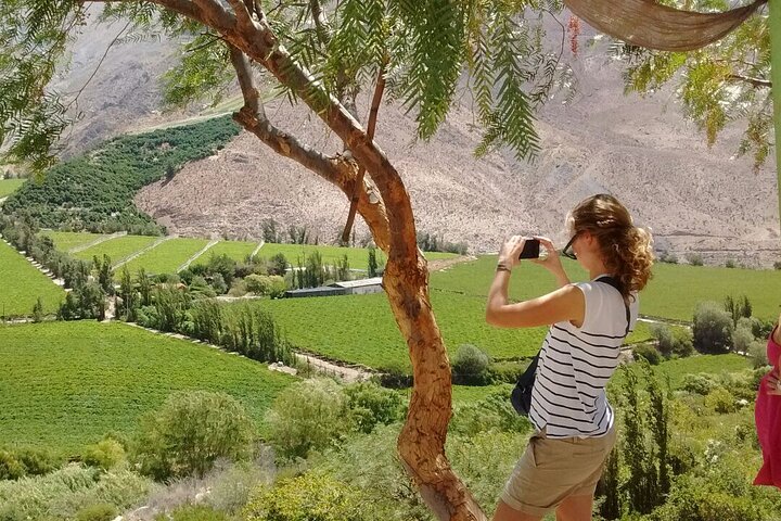 Elqui Valley Tour: History and Flavors