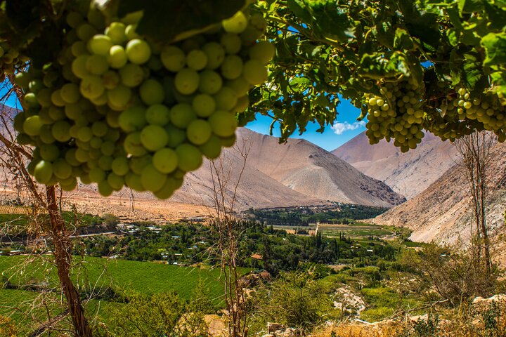 Elqui Valley Tour: History and Flavors