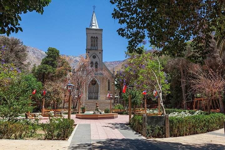 Elqui Valley Tour: History and Flavors