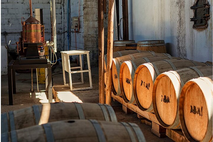Elqui Valley Tour: History and Flavors