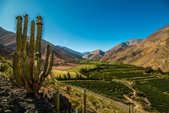 Elqui Valley Tour: History and Flavors