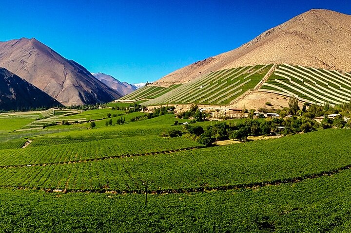 Elqui Valley Tour: History and Flavors