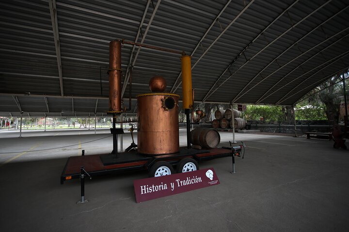 Elqui Valley Tour: History and Flavors