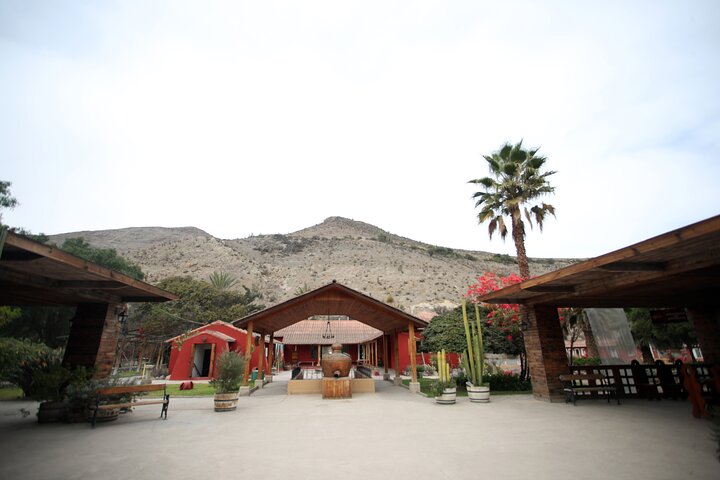 Elqui Valley Tour: History and Flavors