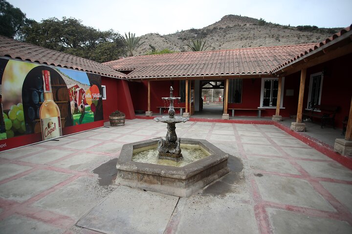 Elqui Valley Tour: History and Flavors